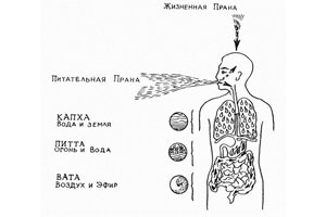 Керала — родина аюрведы